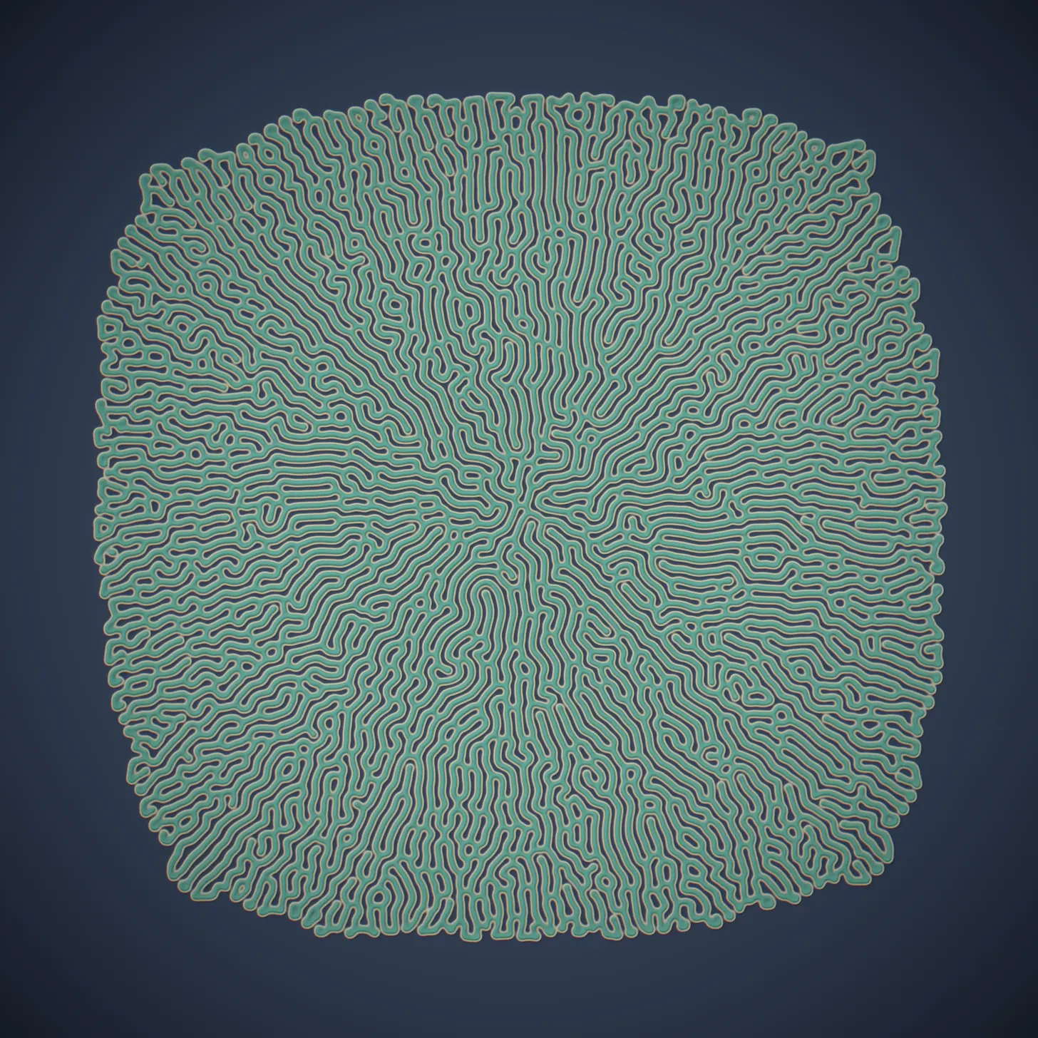 Gray-Scott Reaction-Diffusion