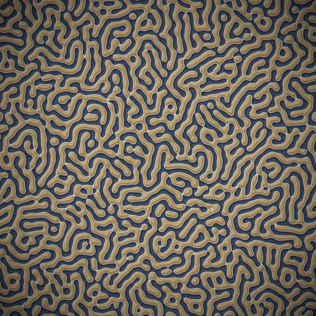 a brain-coral maze — a wider interface